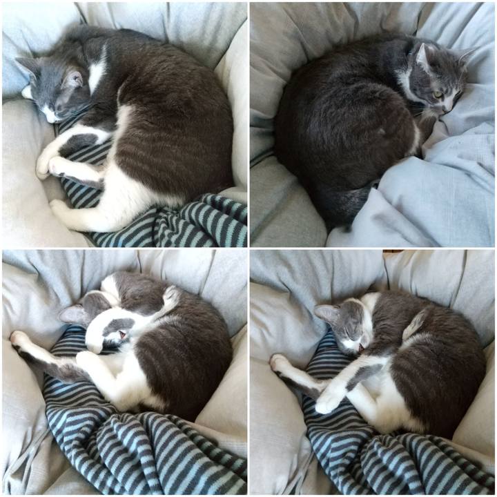 52a648ee b0a9 49a0 a74a 1652797fb8f2 1616804369371