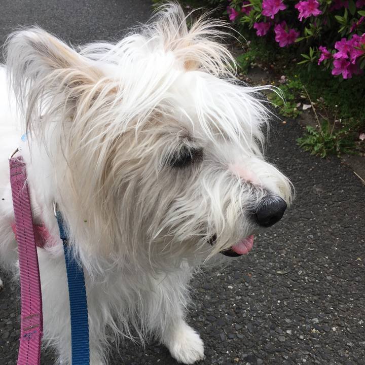 52a65a4a 57c9 44b3 b9fc 7da12cd255cf 1619953235972