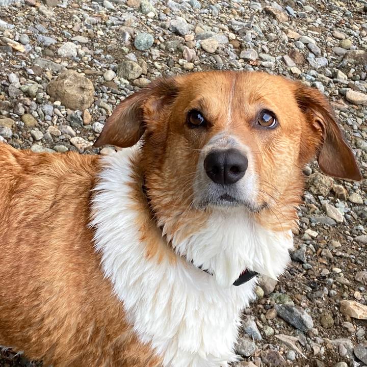 52a65d97 f706 40b4 86bf 63397cc1e355 1692925100518