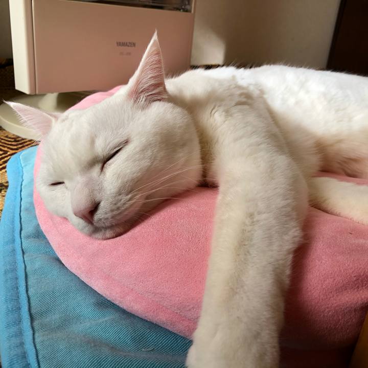 52a6745c b0ec 41cf 8be6 432857fa1ced 1609499320447