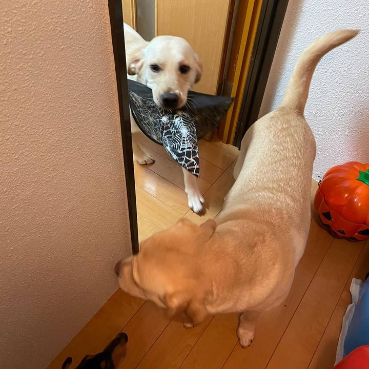 52a6806e d15b 4591 8dd6 98378fb17663 1641680881466