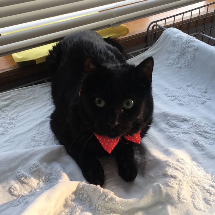 52a699e2 522b 4ae6 b7e8 f0df2361977d 1551574418674