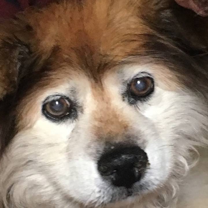 52a6bab1 0911 45ad b334 aac54b503643 1604652108515