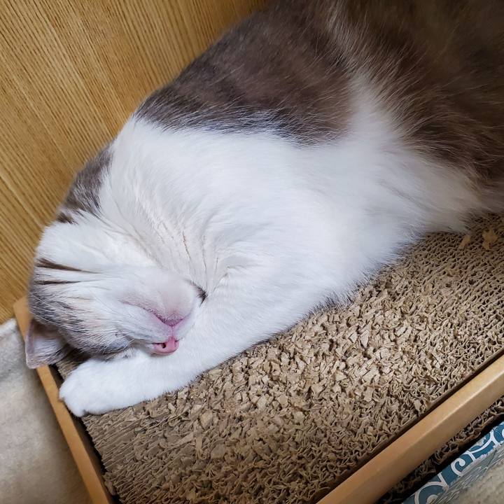 52a6bc28 98cb 4672 89ef 0085379f8b80 1708089840988