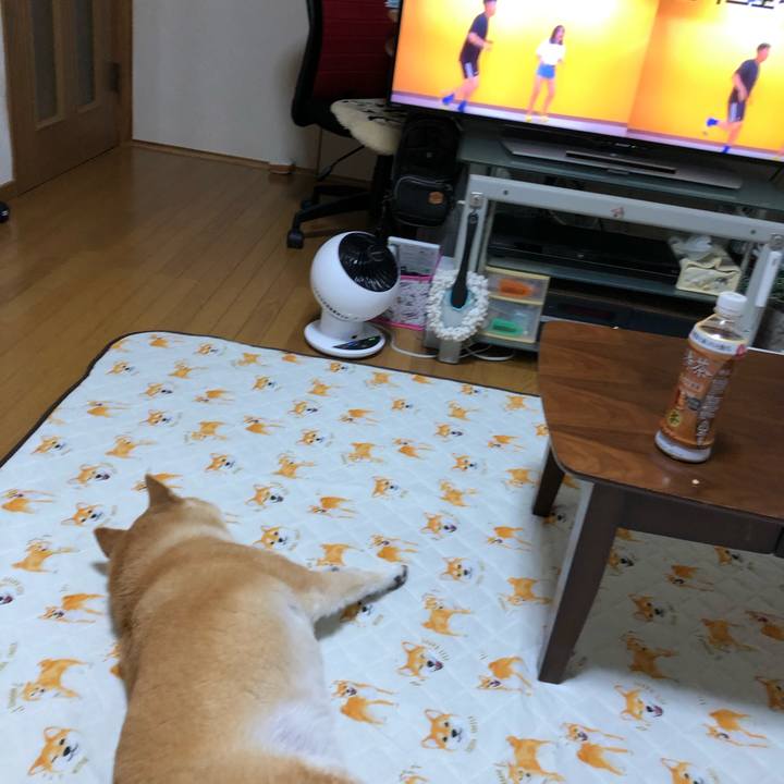 52a6d741 e7fc 4739 ad85 9e85e4e0a6f1 1590846195814