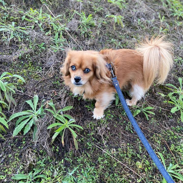 52a6e2fd 8bf1 4664 9fee 0c980354abea 1574290005082