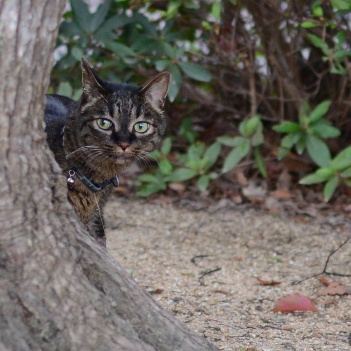 52a70a4b 675f 409c 8537 cad372b740fe 1531399267897