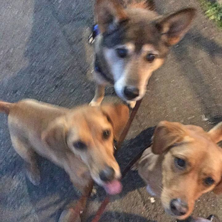 52a72aeb d24b 4be4 b98a 0914e50afaa4 1521022721531