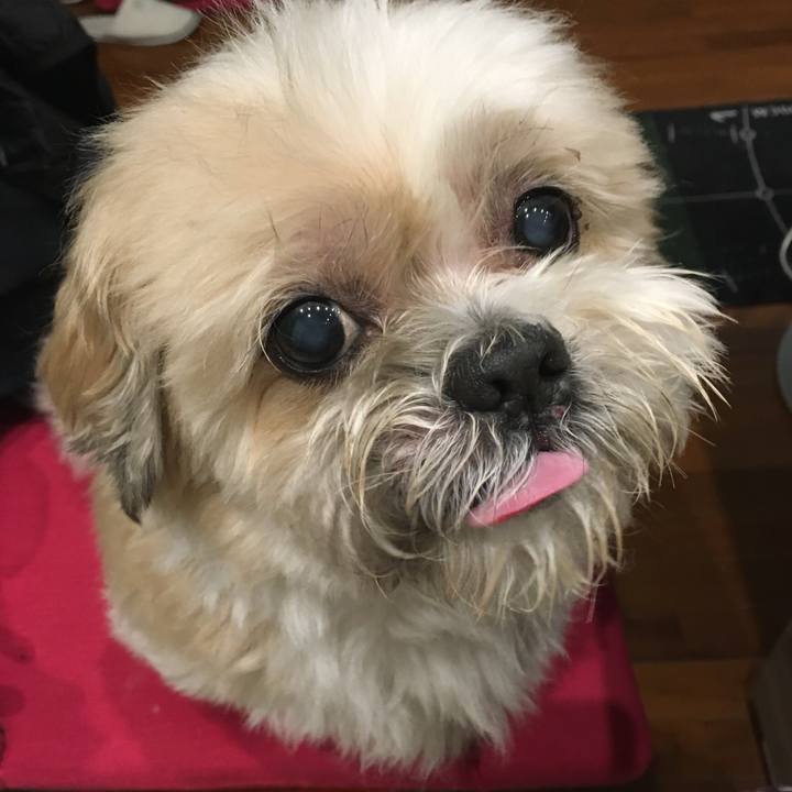 52a76c06 afa7 421e 8e2b ae0502fe28d6 1758957632796