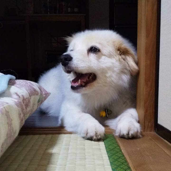 52a79127 931e 4039 9e31 b3d1433bfc9a 1640144801014