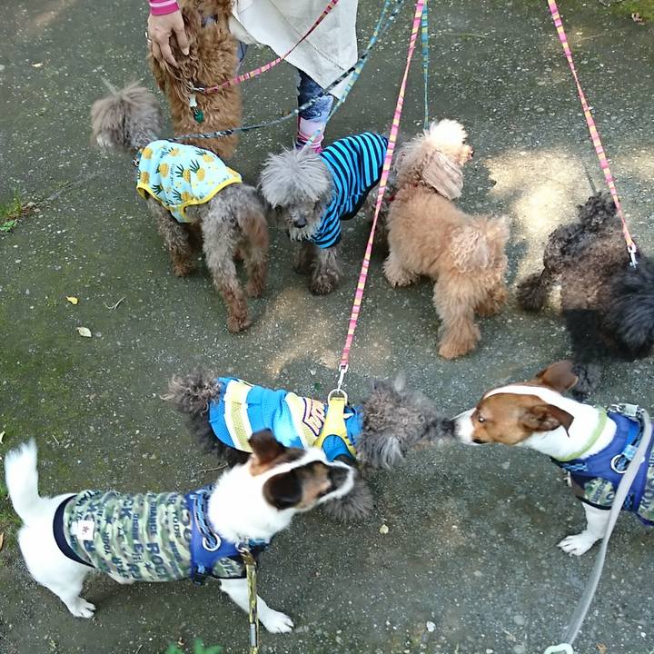 52a7e0a4 ef59 4ba7 ae3b 7f2ecec67617 1590803182895