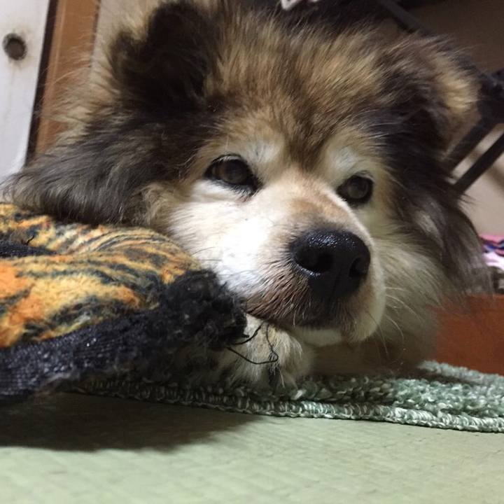 52a7f126 b6fc 4608 8fea 03049637bb8c 1557874988374