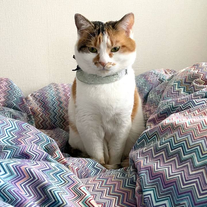 52a80601 57ce 45e3 9501 a681fddb40ff 1674968990529