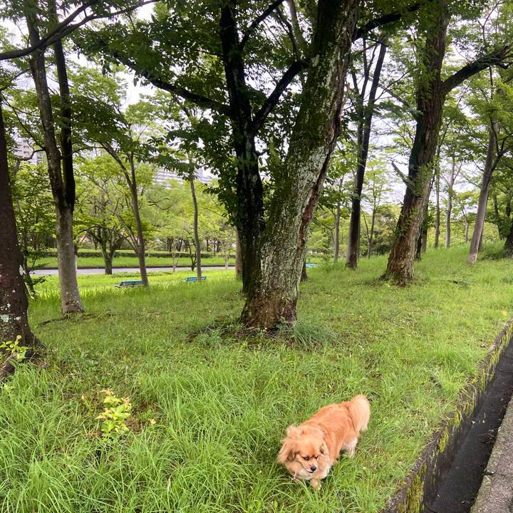 52a81508 b6fb 47ad a88c 6b84fc1bb4a8 1593554949331