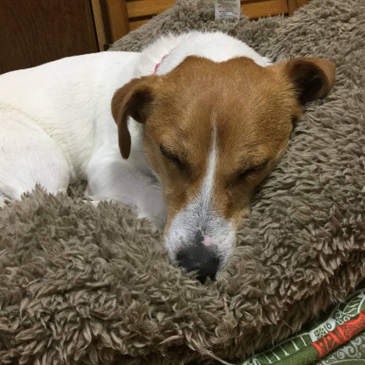 52a85108 cfa8 4ce5 a983 dbca4ee56161 1522662873536