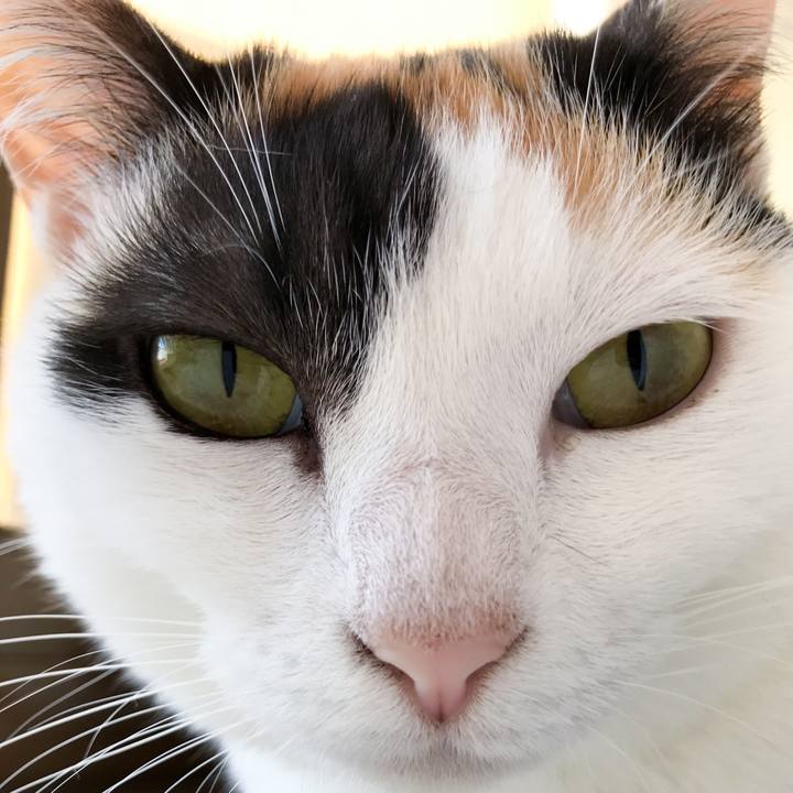 52a876b0 12c0 4a5d 8ec9 dd50910cf54b 1529109869984