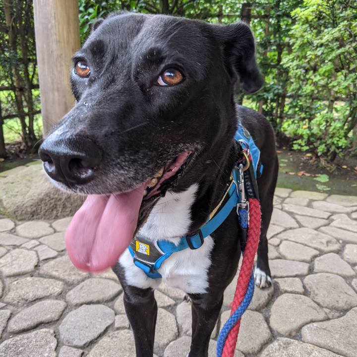 52a878cf 98ef 4e74 8e45 3e945a225e86 1633825506082