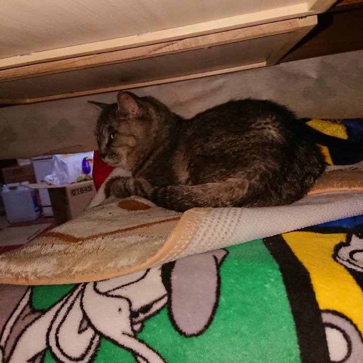 52a893b6 0336 4012 bff0 c95f17ee28bf 1571433858832