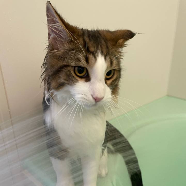 52a8a28f 1082 4b5c 8d83 37cc16ca81fb 1640166644457