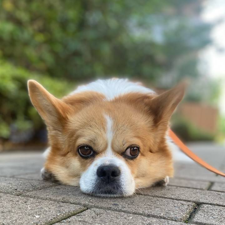 52a8aa8d 9846 4dde 9316 0244aadb7065 1718072300405