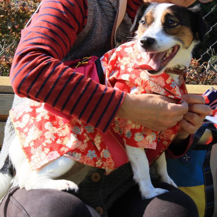 52a8ac08 2598 4397 8e78 9b1d5d844470 1509865087480