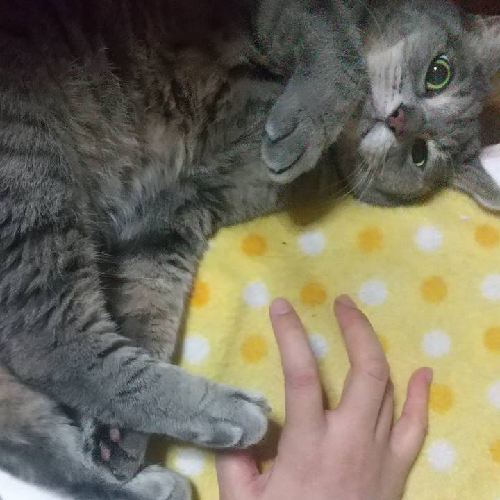 52a8c17e c5c6 4b36 b963 117dc4d9fa7b 1634937061931