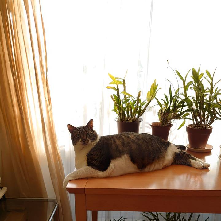 52a8c2b0 ed34 4ab5 879f d1bb4c7b9eb7 1639960425081