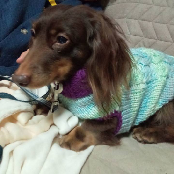 52a8db60 eda8 43a0 89ae 164702c3abc6 1768603139589