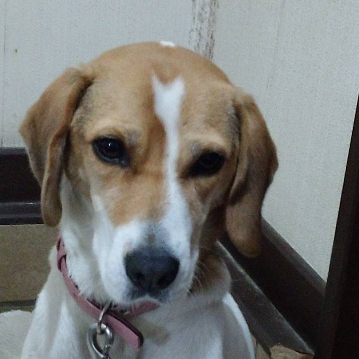 52a8e052 ca40 40b8 ad0d c61bb1bf1fa3 1576204817064