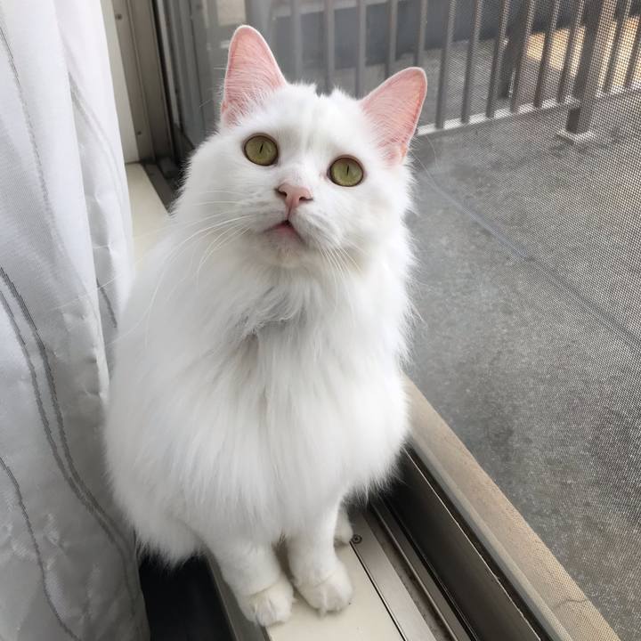 52a90ed5 a111 40d4 80af df26bed05b55 1554631380759