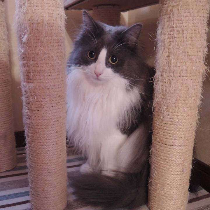 52a9110c 12f5 4d32 a30b 56064206395d 1515928117973