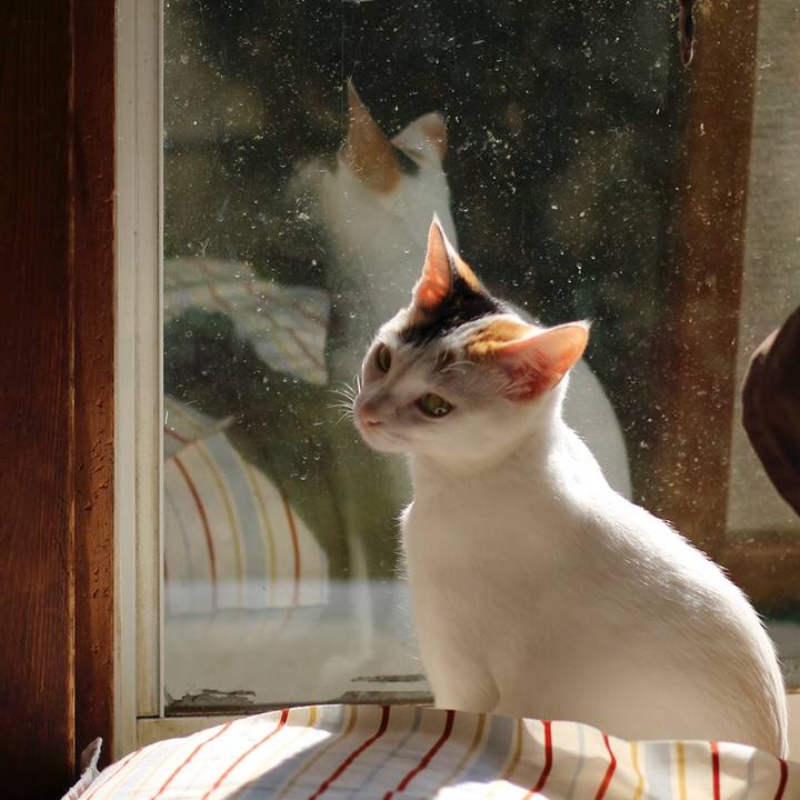 52a959bb e298 4a69 bc8a 77e4e4ef283f 1596584068391