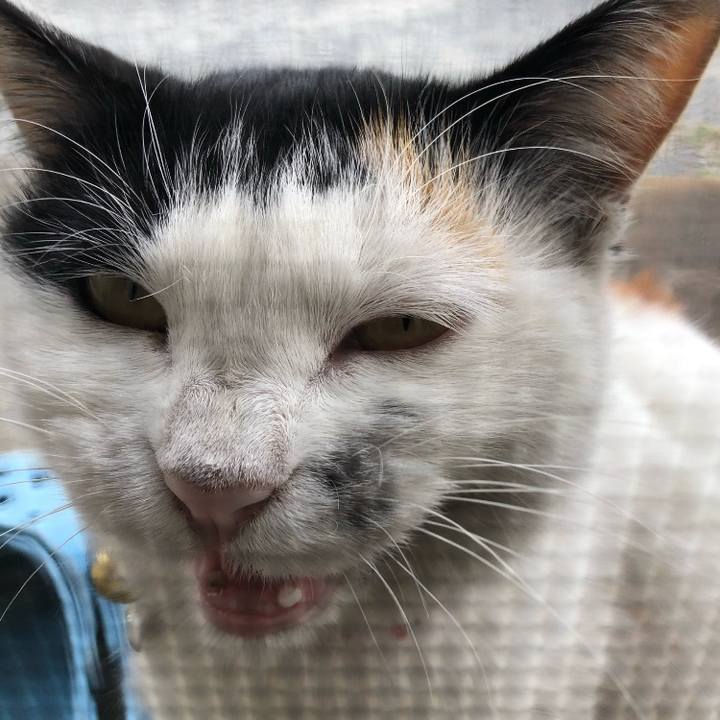 52a98214 8fa1 4a79 bdc5 69b71105b286 1634428193808