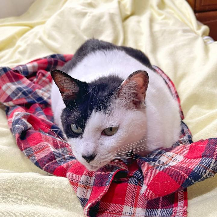 52a9ba56 8540 4125 992c 5a302b13a725 1759636128514