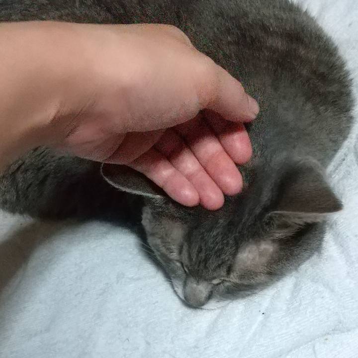 52a9d9df 6c09 4035 998a 3a603ebfbbee 1663766109212