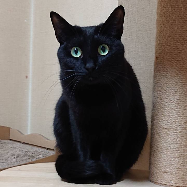 52a9fc04 40a2 4899 8847 9947b191e9b0 1584116709798