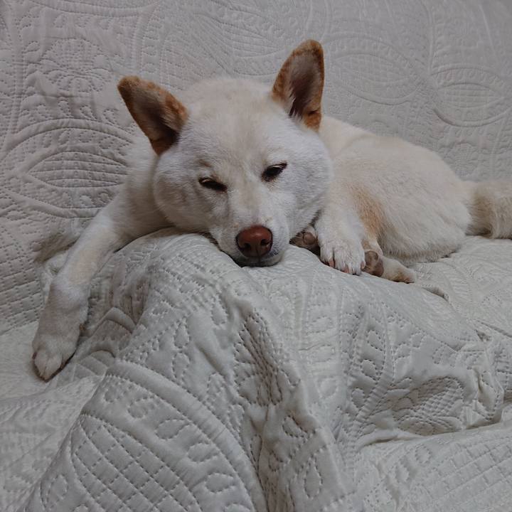 52a9fc30 4c4d 44a7 ae6b 02783d915c75 1556109416884