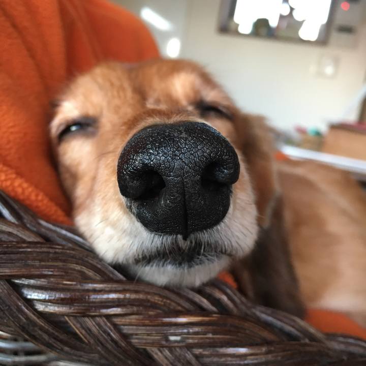 52aa0892 4695 4a0e ae9c abcd493574d4 1578037950202