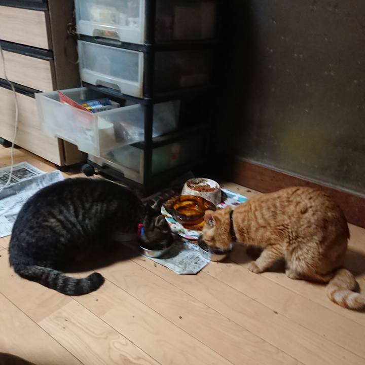 52aa11ff 204c 451d 8ee4 1b473dabeed2 1656156604357