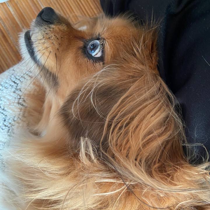 52aa5a87 21c8 4a53 9149 1b18c3d1439a 1665798453474