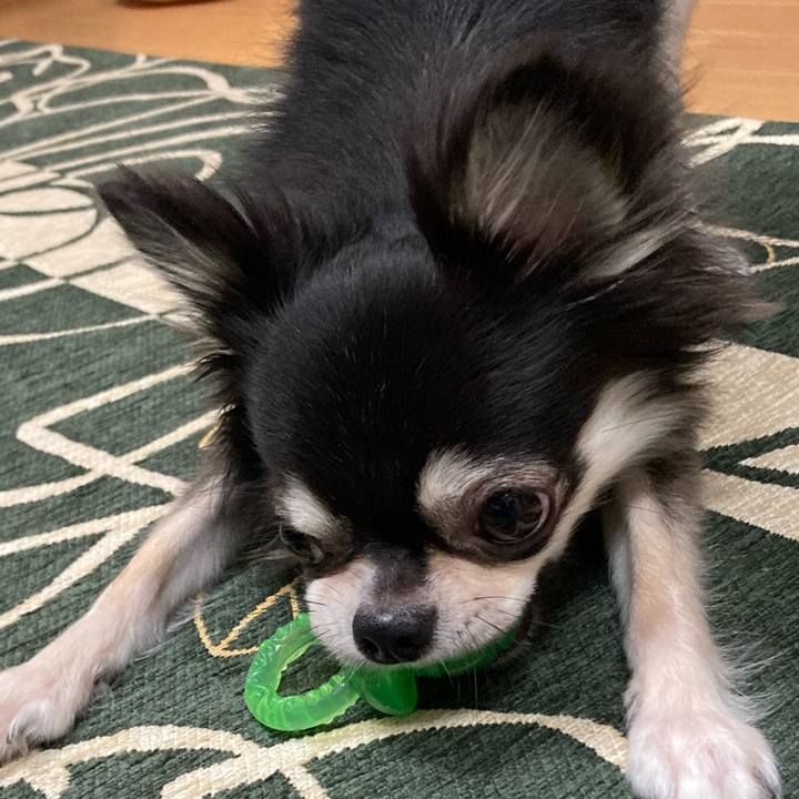 52aa6943 d00e 4350 94ed 3071850c5f1a 1634477204697