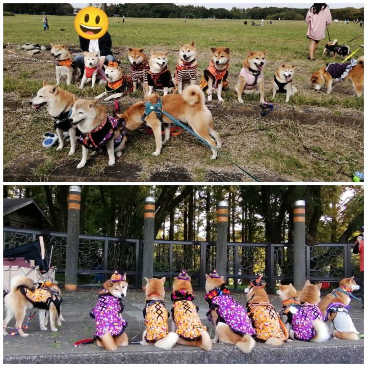 52aa8092 1ee7 4505 a38c b30a6bfb92ef 1666710601584