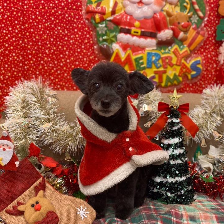 52aaa354 8367 44f0 ac91 a4f99b2b85b5 1638266901264