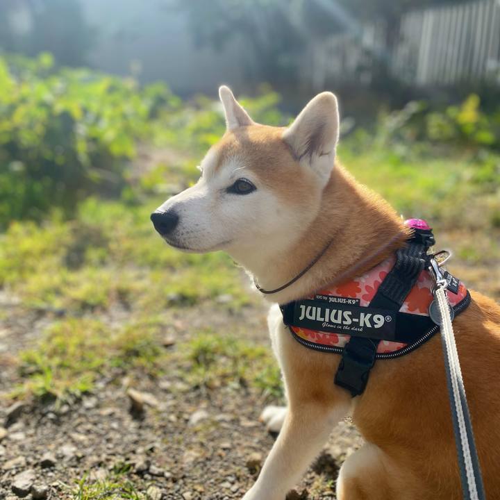 52aaed6b 5559 4e45 8b20 5dc2c5f43637 1665015712103