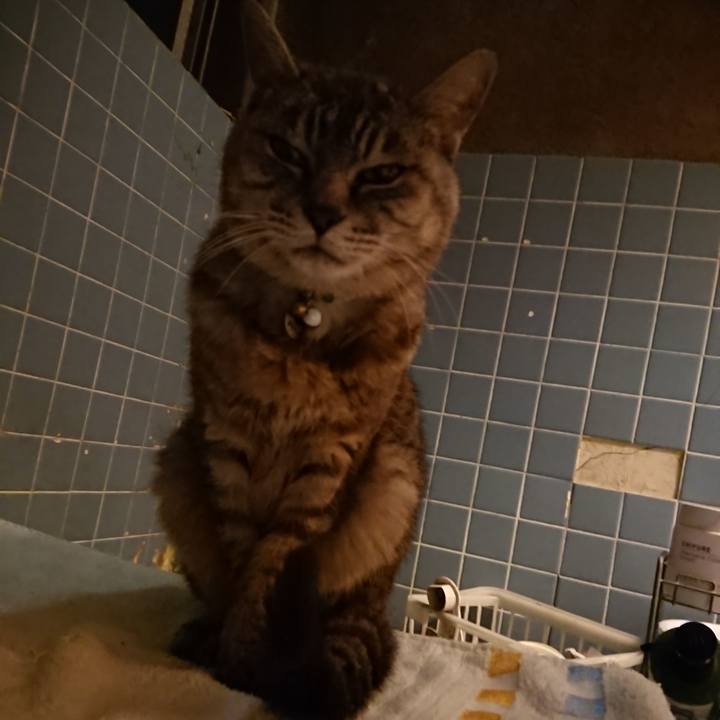 52ab1127 0218 4a98 b3e7 d033c8e620be 1569062132152