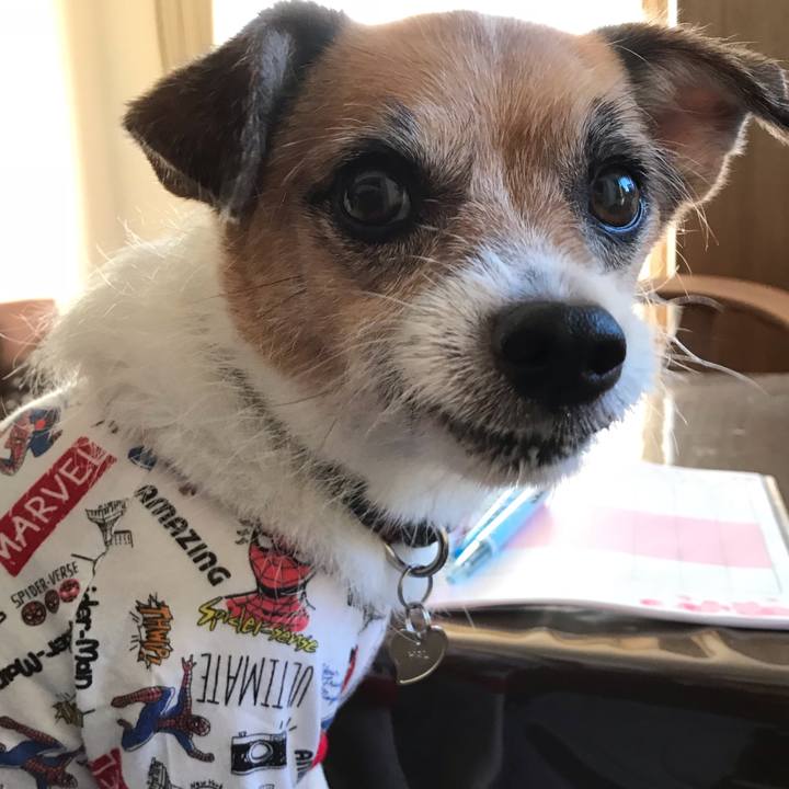 52ab3b38 3f07 4537 b707 ab0d334090e0 1540076114862