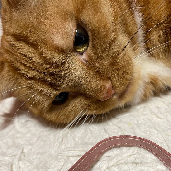 52ab44f2 1b50 4144 8111 aeca8199d9ac 1736681701943