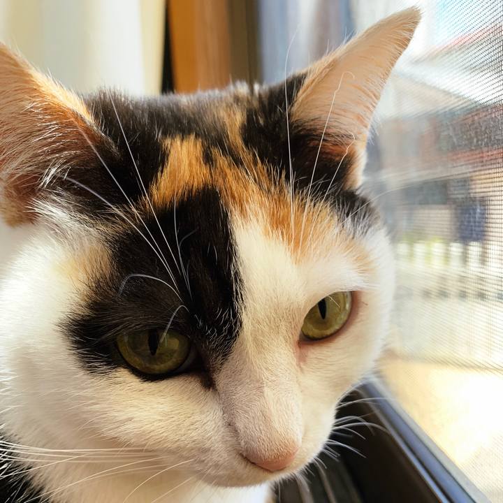 52ab81bb 5d23 42a6 a0f0 80e70ddc1f69 1556330529162