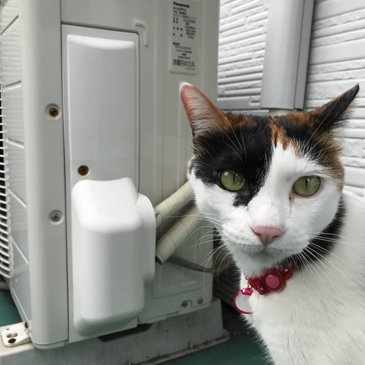 52abeed4 4810 4362 a2c9 ddd77570f885 1508499623010