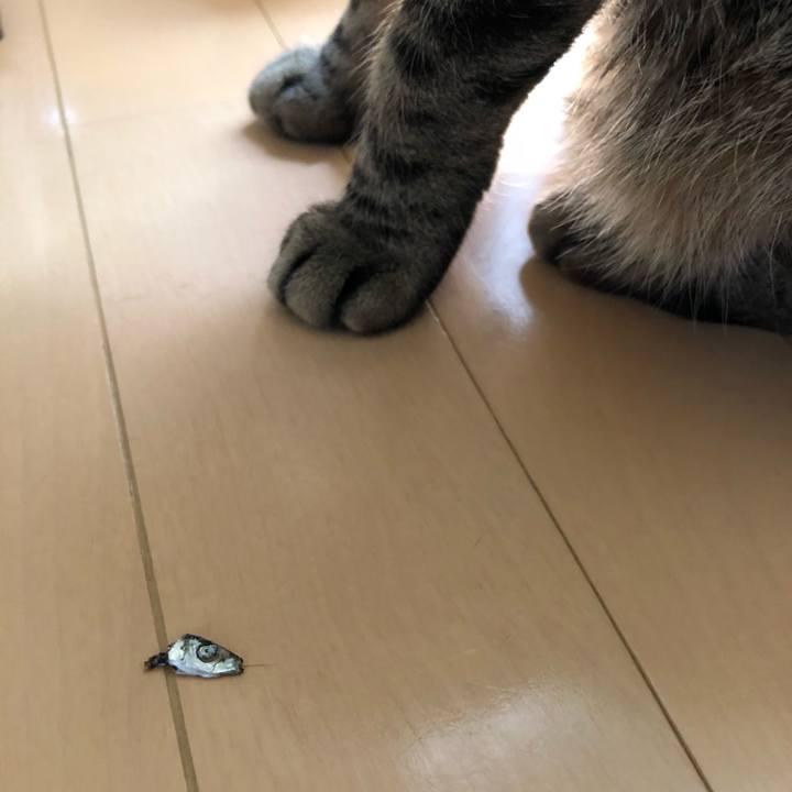 52ac03dd eab7 4571 a308 0797cda66ccb 1525582174847